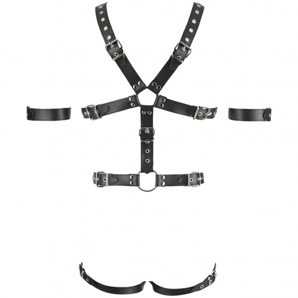 Zado Harness with Triple Cock Ring 4