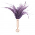 Fifty Shades Freed Cherisked Collection Feather Tickler