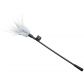 Fifty Shades of Grey Tease Feather Tickler Product 2